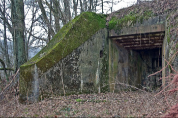 © F.Gottschall © F.Gottschall