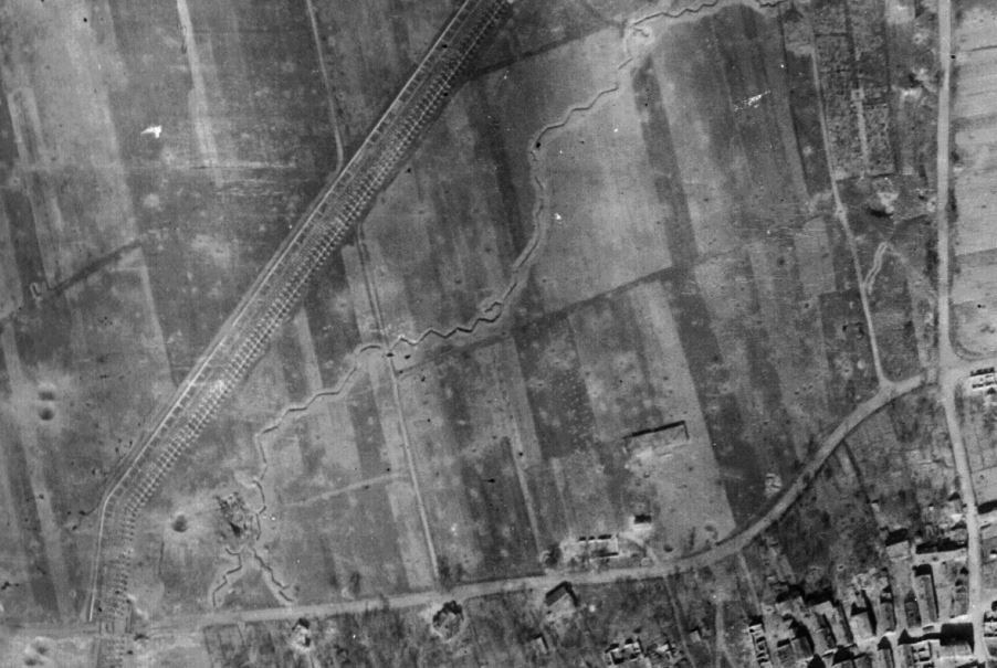 Die Höckerlinie um 1944