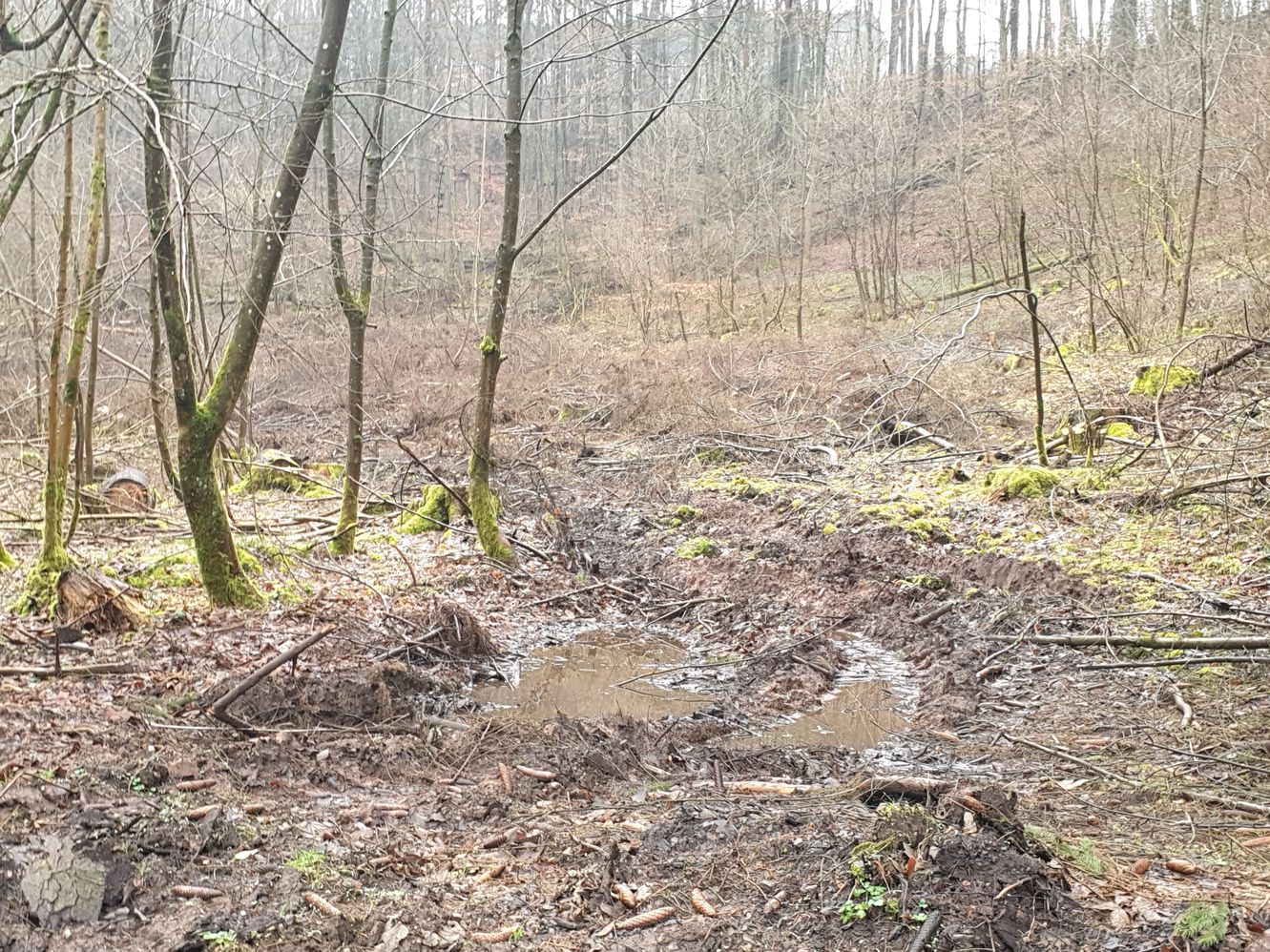 Flurschäden durch das Befahren mit schweren Kettenfahrzeugen Flurschäden durch das Befahren mit schweren Kettenfahrzeugen