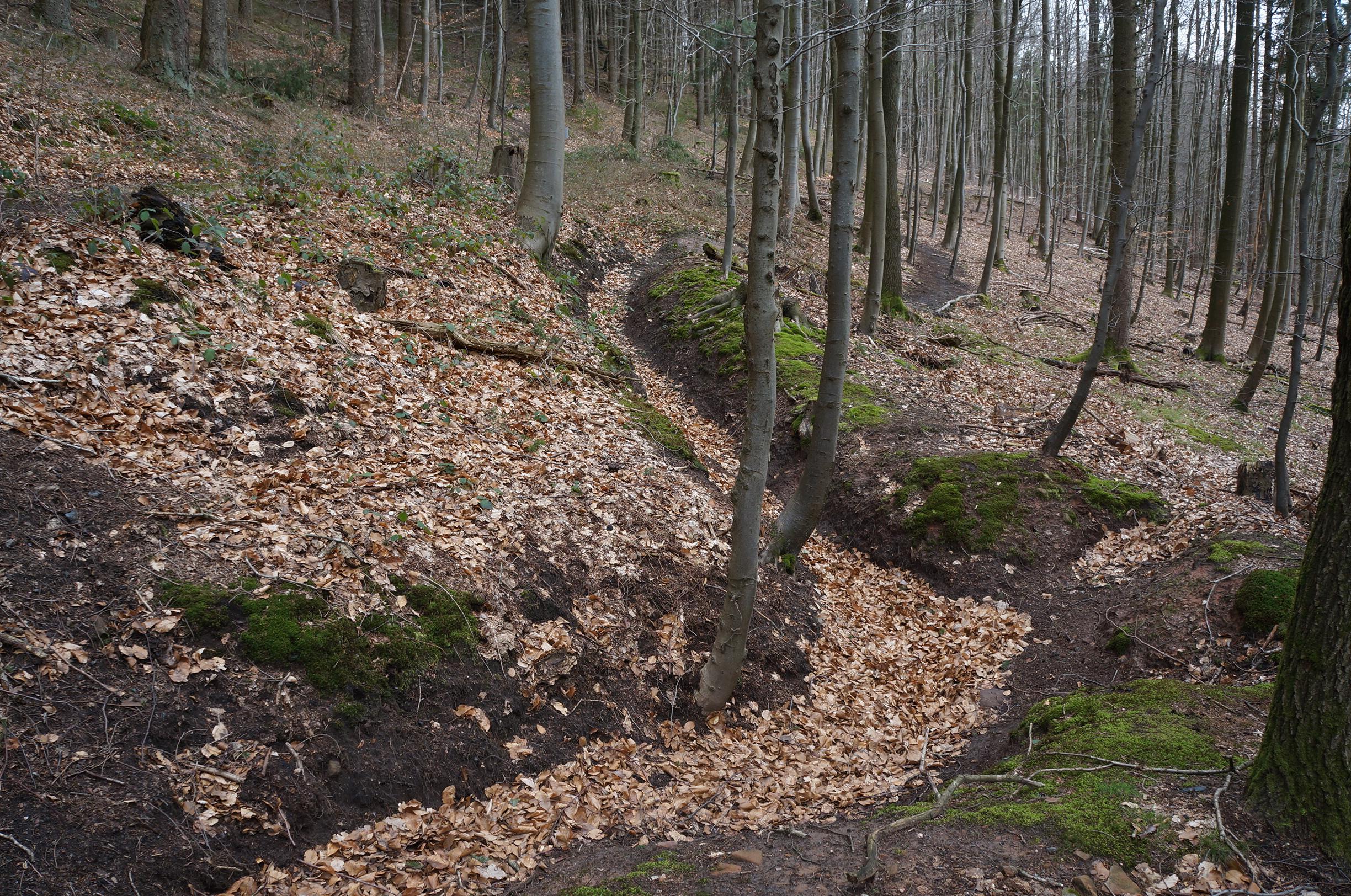 MTB-Strecken in Laufgraben MTB-Strecken in Laufgraben