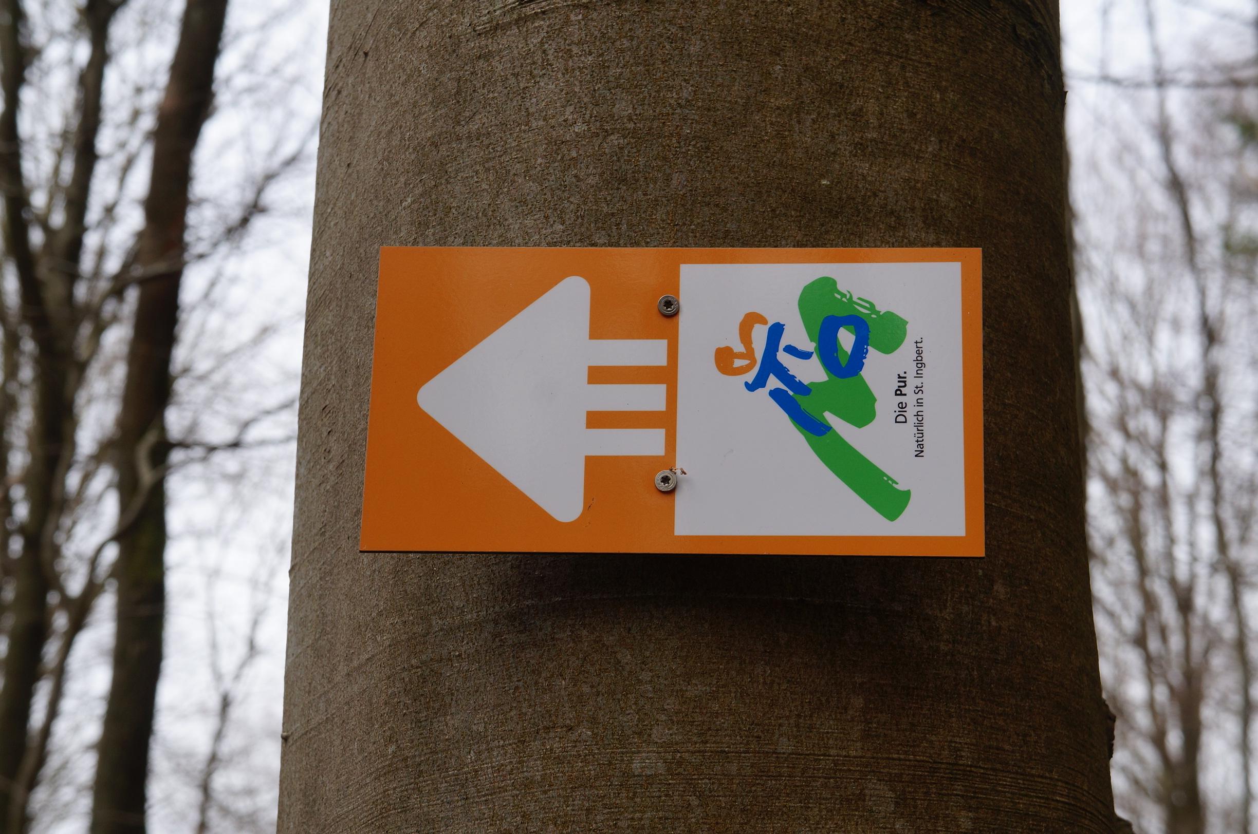 Wegweiser einer MTB-Strecke im Laufgraben Wegweiser einer MTB-Strecke im Laufgraben