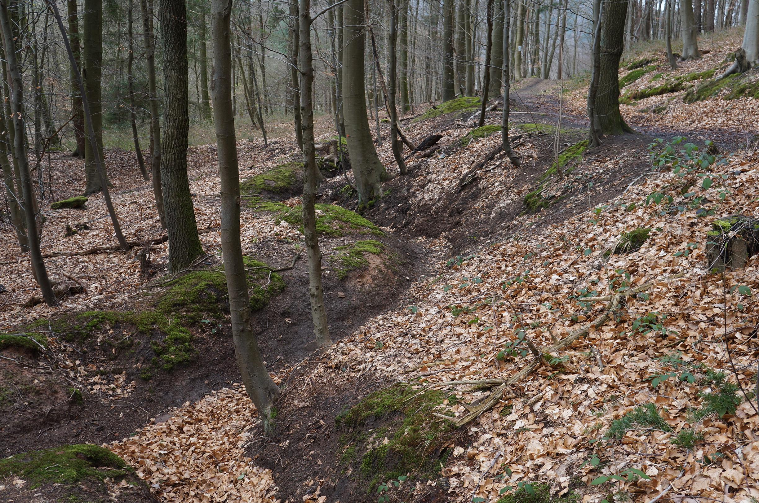 MTB-Strecke in Laufgraben MTB-Strecke in Laufgraben