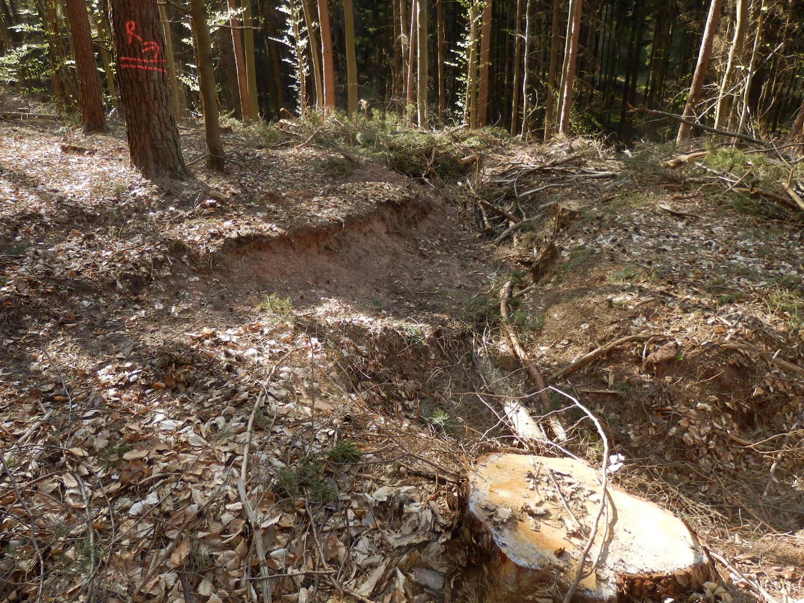 Flurschäden Flurschäden