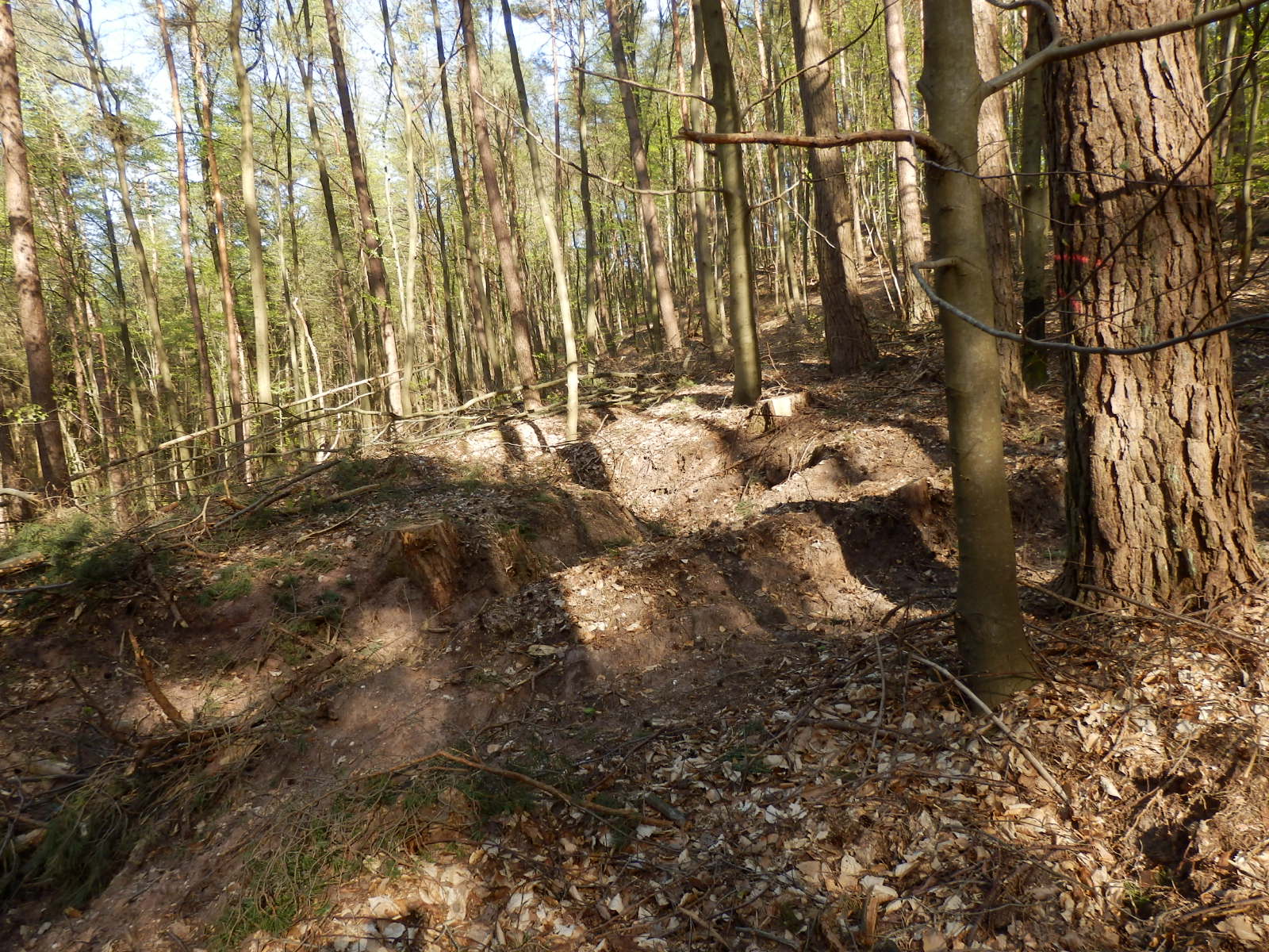 Flurschäden Flurschäden