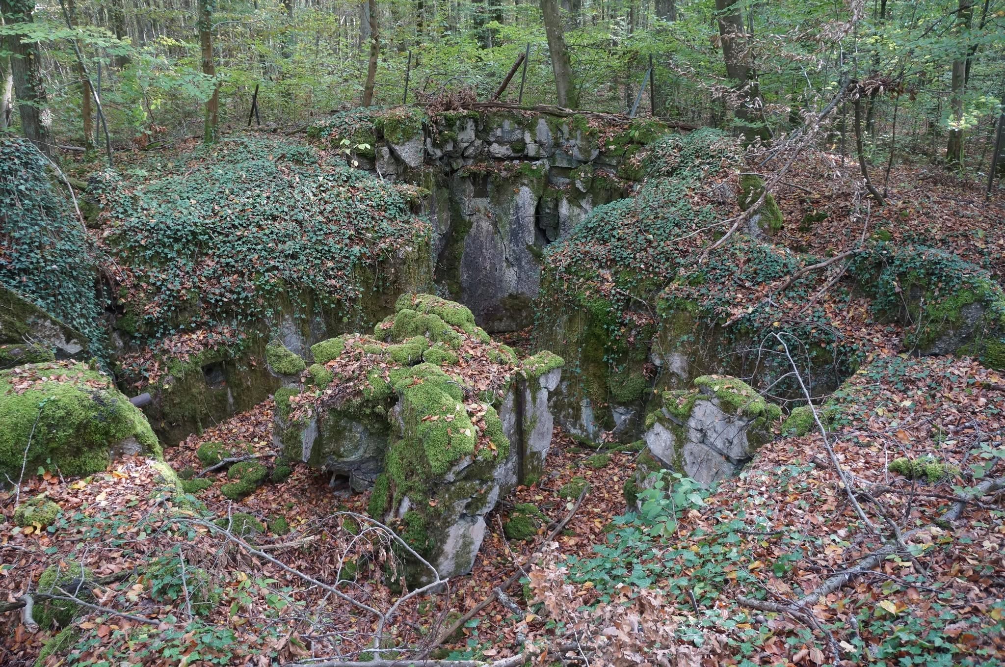 Stand_mit_Dreischartenturm_Bienwald_Buechelberg.jpg